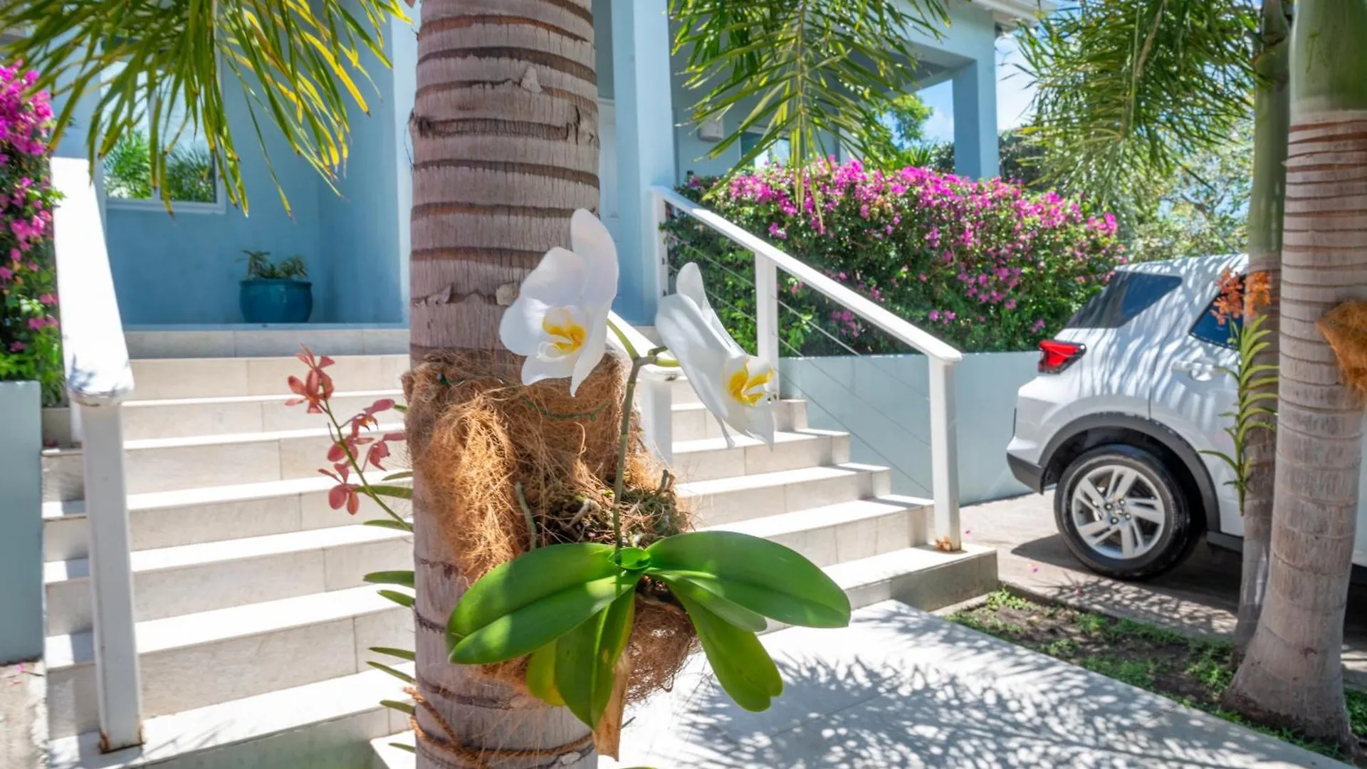 Trade Winds Cottage #1 Cedar Grove Αντίγκουα και Μπαρμπούντα